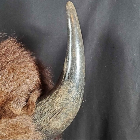 Authentic Buffalo Helmet - Picture 6 of 8